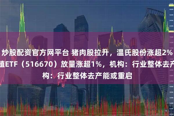 炒股配资官方网平台 猪肉股拉升，温氏股份涨超2%，畜牧养殖ETF（516670）放量涨超1%，机构：行业整体去产能或重启